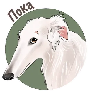🤤 Пока chien, barzoï, animal, mignon, salutation, russe telegram sticker