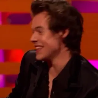 🌸 Harry Styles Harry Styles, chanteur, musicien, célébrité telegram sticker
