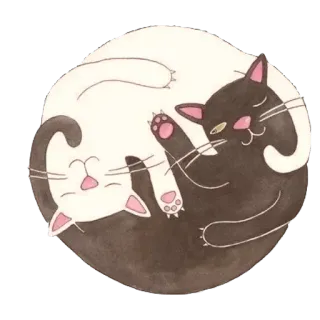 ❤ แมว, หยินหยาง, สมดุล, น่ารัก, สติกเกอร์, ขาวดำ telegram sticker