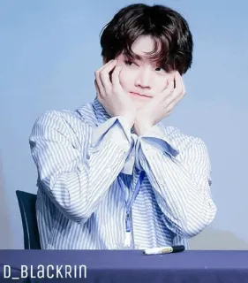 ✨ D_BLACKRIN koreanisch, männlich, Porträt, Idol, Sänger, junger Mann telegram sticker