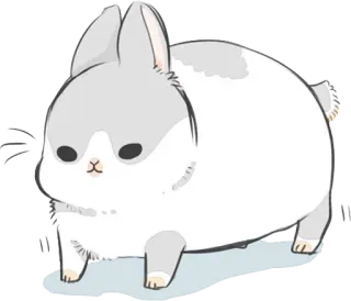 🐇 królik, zajączek, słodki, zwierzę, biały, szary, puchaty telegram sticker