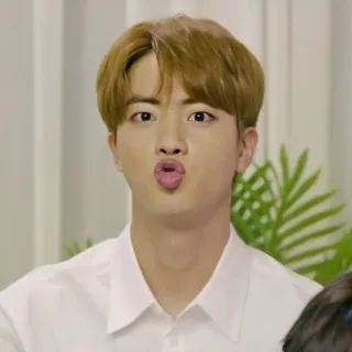 🐹 Jin K-Pop, Idol, Musiker, Sänger, Promi, Schmollmund telegram sticker