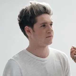 🌙 Niall Horan Musiker, Sänger, Promi, Niall Horan, One Direction telegram sticker