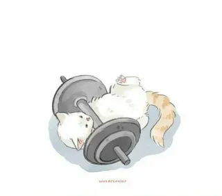 🏋 Katze, Hantel, Übung, Gewichtheben, Fitness, süß, Cartoon whatsapp sticker