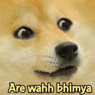 😗 Are wahh bhimya Doge, Meme, Vui nhộn, Chó telegram sticker