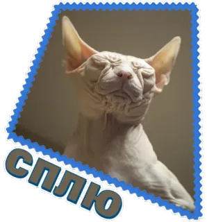 🤕 Сплю cat, sphynx, sleeping, pet telegram sticker
