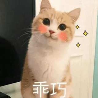 🍣 乖巧 猫, 可愛い, 愛らしい, 動物, ペット, カワイイ, 猫ステッカー telegram sticker