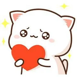 😇 แมว, สัตว์, น่ารัก, คาวาอิ, รัก, หัวใจ, สติกเกอร์ telegram sticker