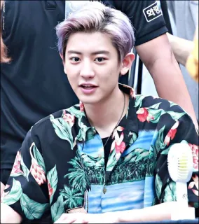 🕷 Chanyeol Chanyeol, EXO, K-pop, piosenkarz, portret, celebryta, aktor telegram sticker