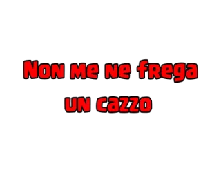 ❤ NON ME NE FREGA UN CAZZO italiano, offensivo, slang, parolaccia telegram sticker