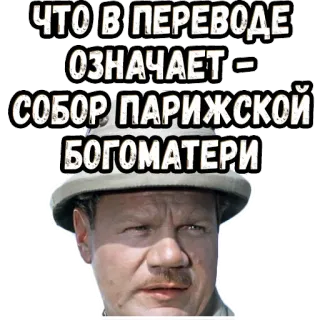🤓 ЧТО В ПЕРЕВОДЕ ОЗНАЧАЕТ – СОБОР ПАРИЖСКОЙ БОГОМАТЕРИ telegram sticker