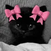 🎀