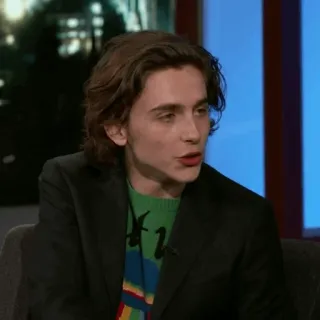 🥀 Timothée Chalamet diễn viên, người nổi tiếng, đàn ông, chân dung, Timothée Chalamet telegram sticker