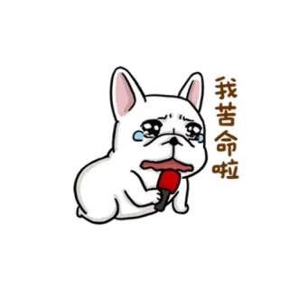 😢 hond, huilen, microfoon, verdrietig, wit telegram sticker