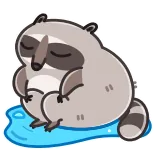 😢 guaxinim, sonolento, fofo, animal, desenho animado telegram sticker