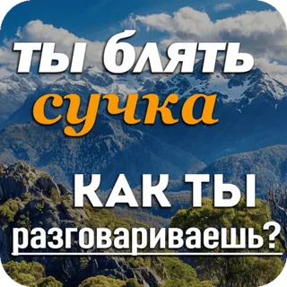🙊 ты блять сучка КАК ты разговариваешь? ofensivo, palavrões, insulto, russo, montanhas telegram sticker