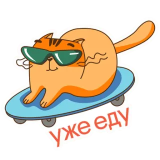 🛹 уже еду кот, скейтборд, солнцезащитные очки, мультфильм, милый, верхом, животное, наклейка telegram sticker