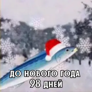 🎄 ДО НОВОГО ГОДА 98 ДНЕЙ poisson, noël, hiver, neige, nouvel an, bonnet de père noël, flocons de neige whatsapp sticker
