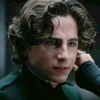 😐 Paul Atreides Dune Dune, Timothée Chalamet, Paul Atreides, science fiction, movie telegram sticker
