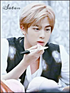 🍁 Satan Jin, K-Pop, BTS, 偶像, 歌手 telegram sticker