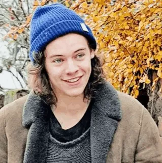 🎵 Harry Styles Harry Styles, singer, celebrity, portrait, blue beanie, jacket telegram sticker
