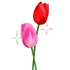 🌷