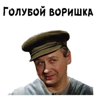 ☺️ ГОЛУБОЙ ВОРИШКА telegram sticker