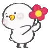 🌺