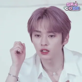 🥢 SKZ CODE man, K-pop, SKZ, code, Koreaans whatsapp sticker