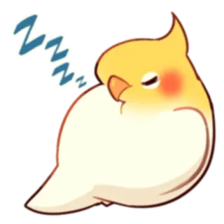 💤 นกค็อกกาเทล, นก, นอนหลับ, น่ารัก, สัตว์, สัตว์เลี้ยง telegram sticker