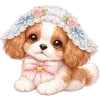 🐶