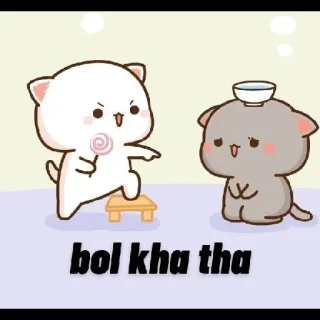 🤨 bol kha tha gatos, lindo, dibujos animados, animales whatsapp sticker