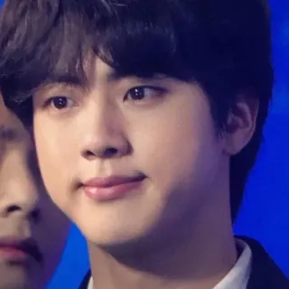 🐾 Jin Jin, BTS, K-pop, cantor, ídolo, celebridade, música telegram sticker