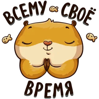 🙏 BEARY BEST PRAYER Bär, Gebet, süß, Meditation, ruhig, Tier, Cartoon telegram sticker