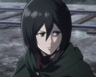 🌿 Mikasa Ackerman Attack on Titan anime, character, mikasa ackerman, attack on titan, manga telegram sticker