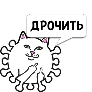 😼 ДРОЧИТЬ 고양이, 가운데 손가락, 무례한, 불쾌한, 러시아의 telegram sticker