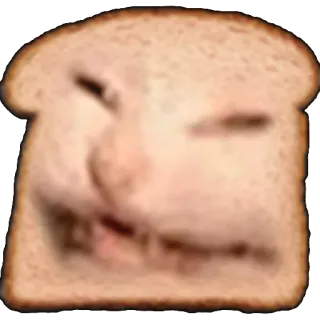 🧑 gatto, pane, meme, divertente, toast, animale telegram sticker
