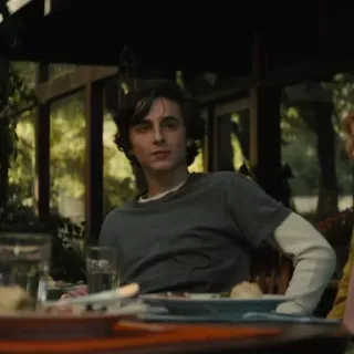 📯 Timothée Chalamet acteur, célébrité, homme, personne, assis telegram sticker