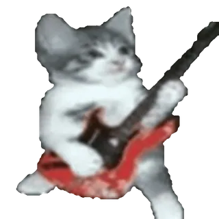🎻
