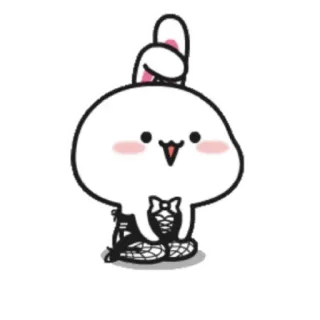 👙 coelho, fofo, adesivo, animal, coelhinho telegram sticker