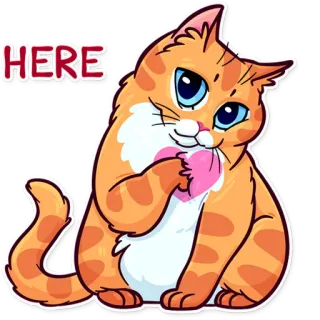 ❤️ HERE cat, heart, cute, animal telegram sticker