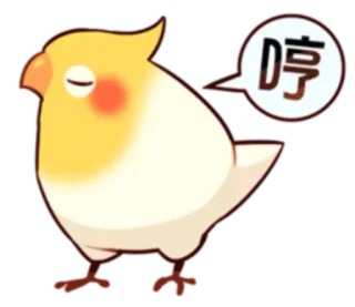 😒 停 นก, ค็อกคาเทล, ง่วง, การ์ตูน, จีน, หยุด telegram sticker