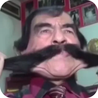 👍 homme, moustache, drôle, portrait, visage, personne âgée telegram sticker