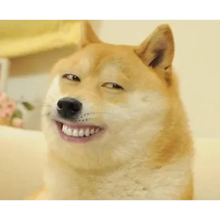 😏 Doge perro, meme, shiba inu, gracioso, meme de internet, meme de doge telegram sticker
