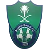 🇸🇦