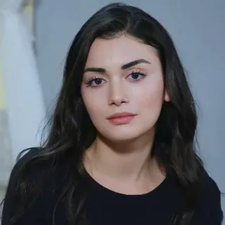 🍇 mujer, retrato, morena, belleza, femenina telegram sticker