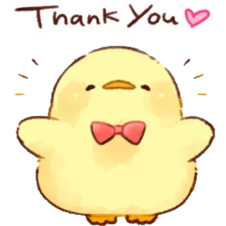 ❤️ Thank You ขอบคุณ, ลูกไก่, น่ารัก, นก, คาวาอิ, ทักทาย telegram sticker