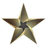 🌟