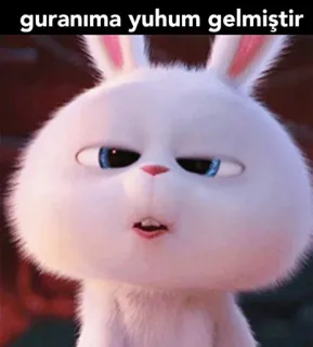 😴 guranıma yuhum gelmiştir 토끼, 바니, 밈, 동물, 귀여운, 웃긴 whatsapp sticker