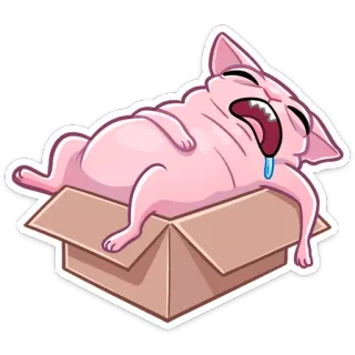 🤤 кот, коробка, сонный, милый, наклейка, питомец telegram sticker